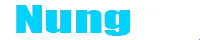 nungvl.org